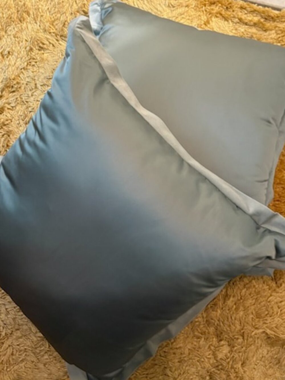 (2) Silk Pillows for Living Room or Bedroom